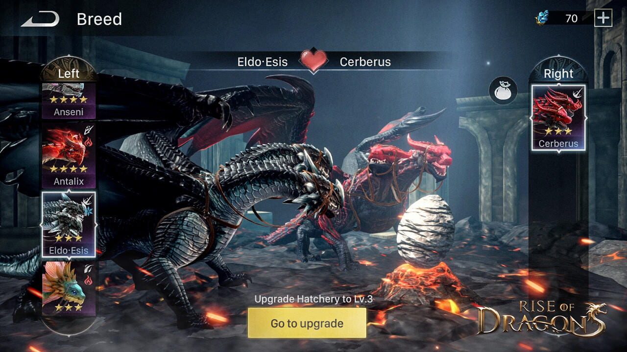 Rise of Dragons Image