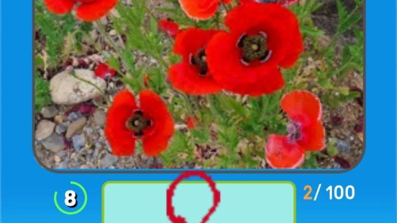Korean Flower Name Game — Screenshot 3