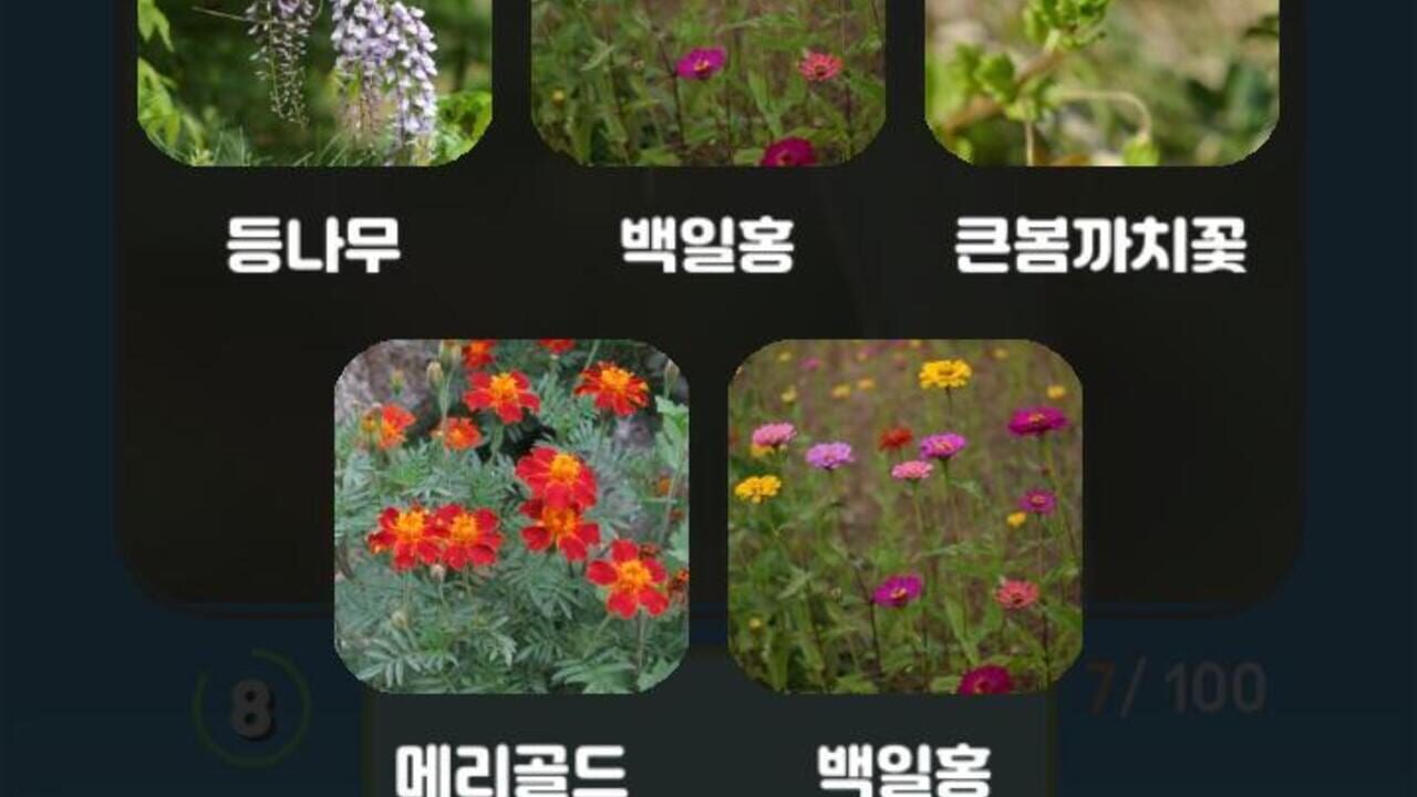 Korean Flower Name Game — Screenshot 5