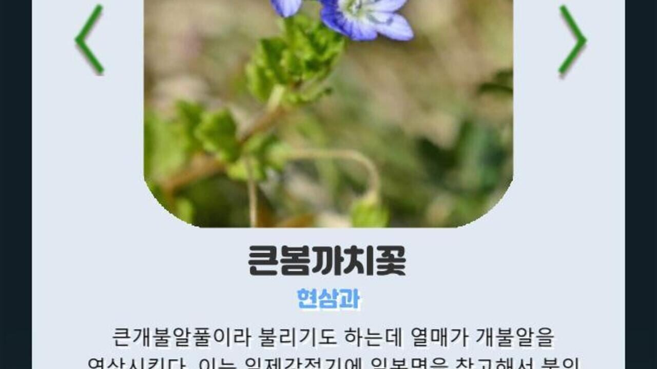 Korean Flower Name Game — Screenshot 4