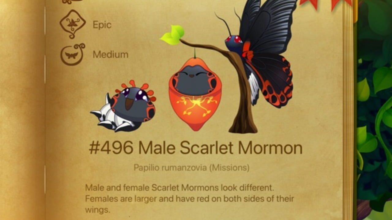 Flutter: Butterfly Sanctuary Image
