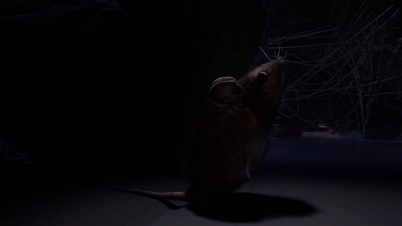 About a Mouse — Screenshot 3