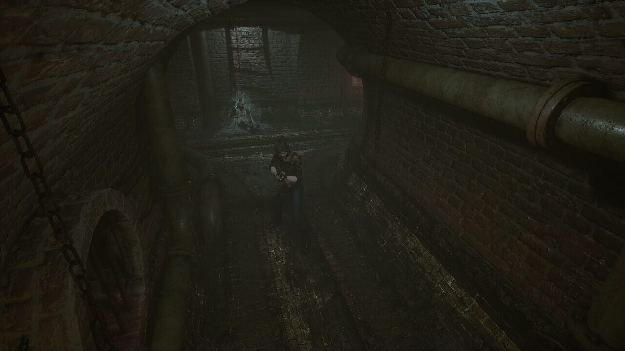 Echoes of the Living Image