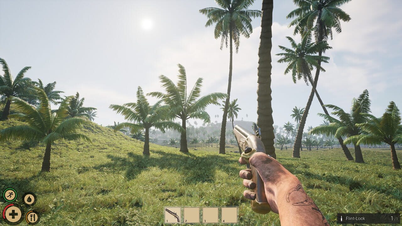 Pirates Journey — Screenshot 3
