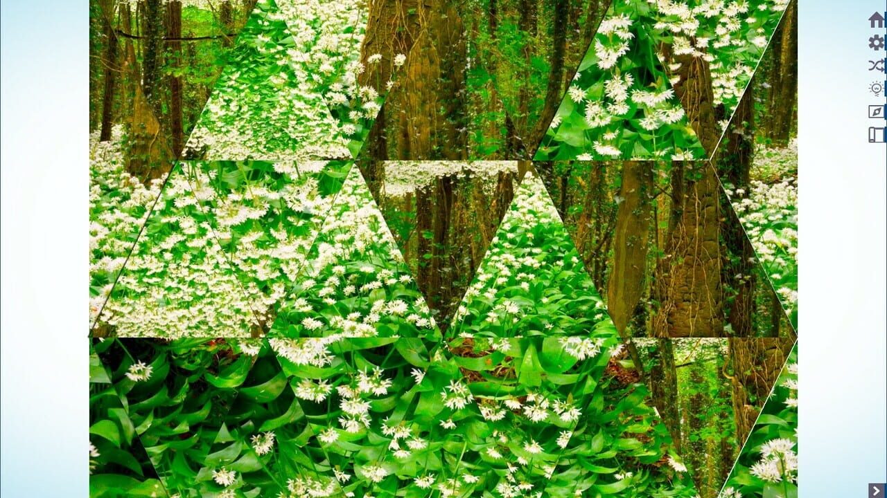 Let's Play Jigsaw Puzzles Image