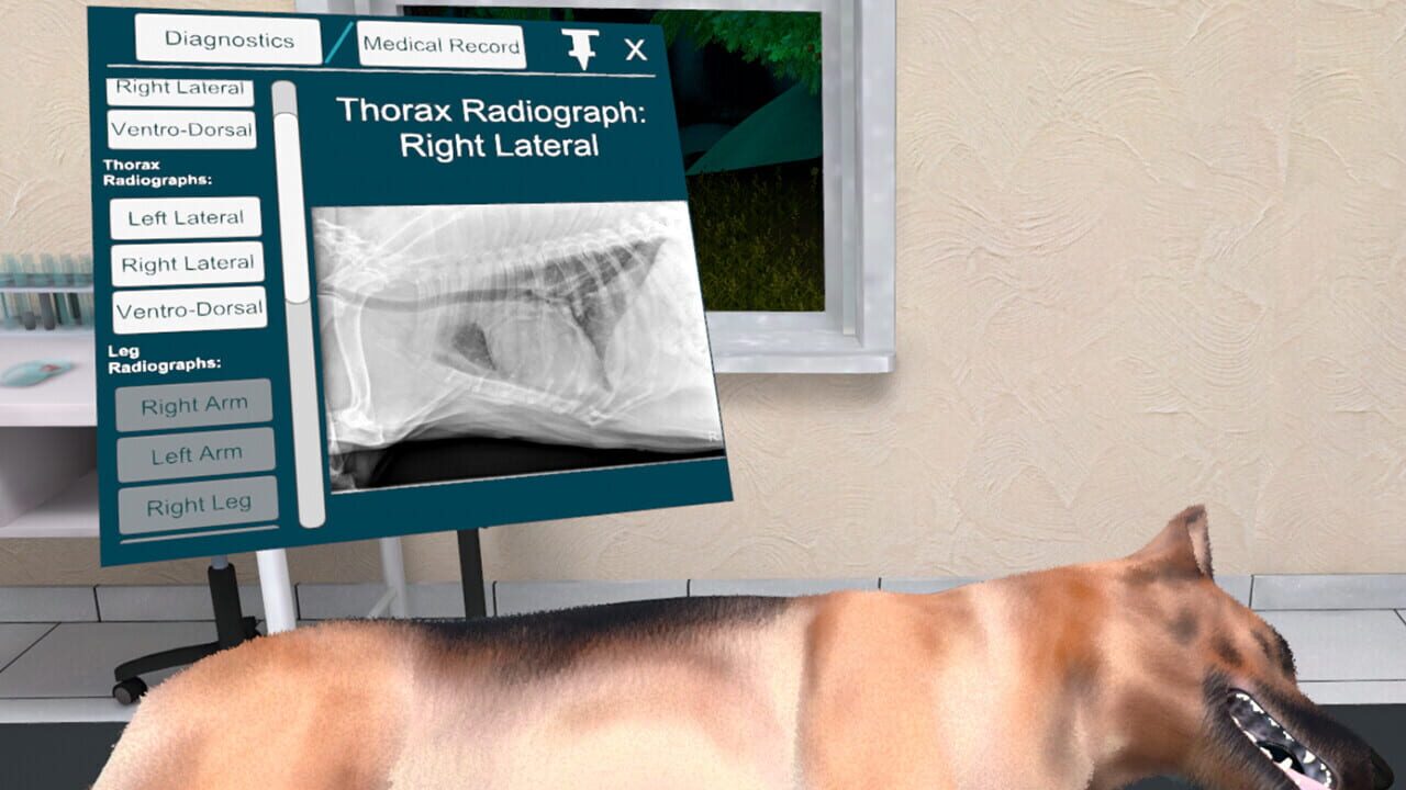 VetVR: Veterinary Simulator — Screenshot 4
