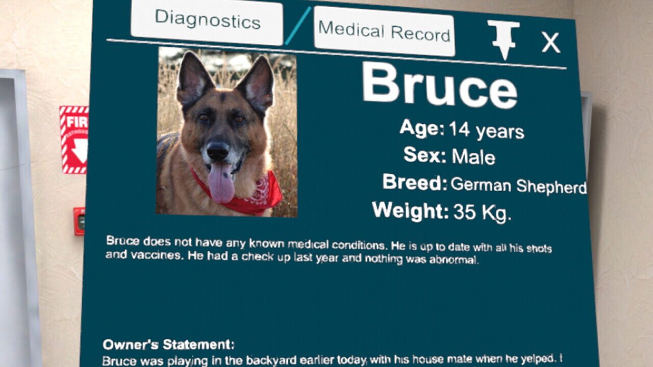 VetVR: Veterinary Simulator — Screenshot 5