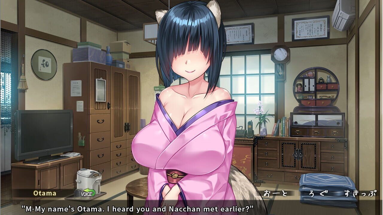 The Kinky Kitsune and The Tantalizing Tanuki Image