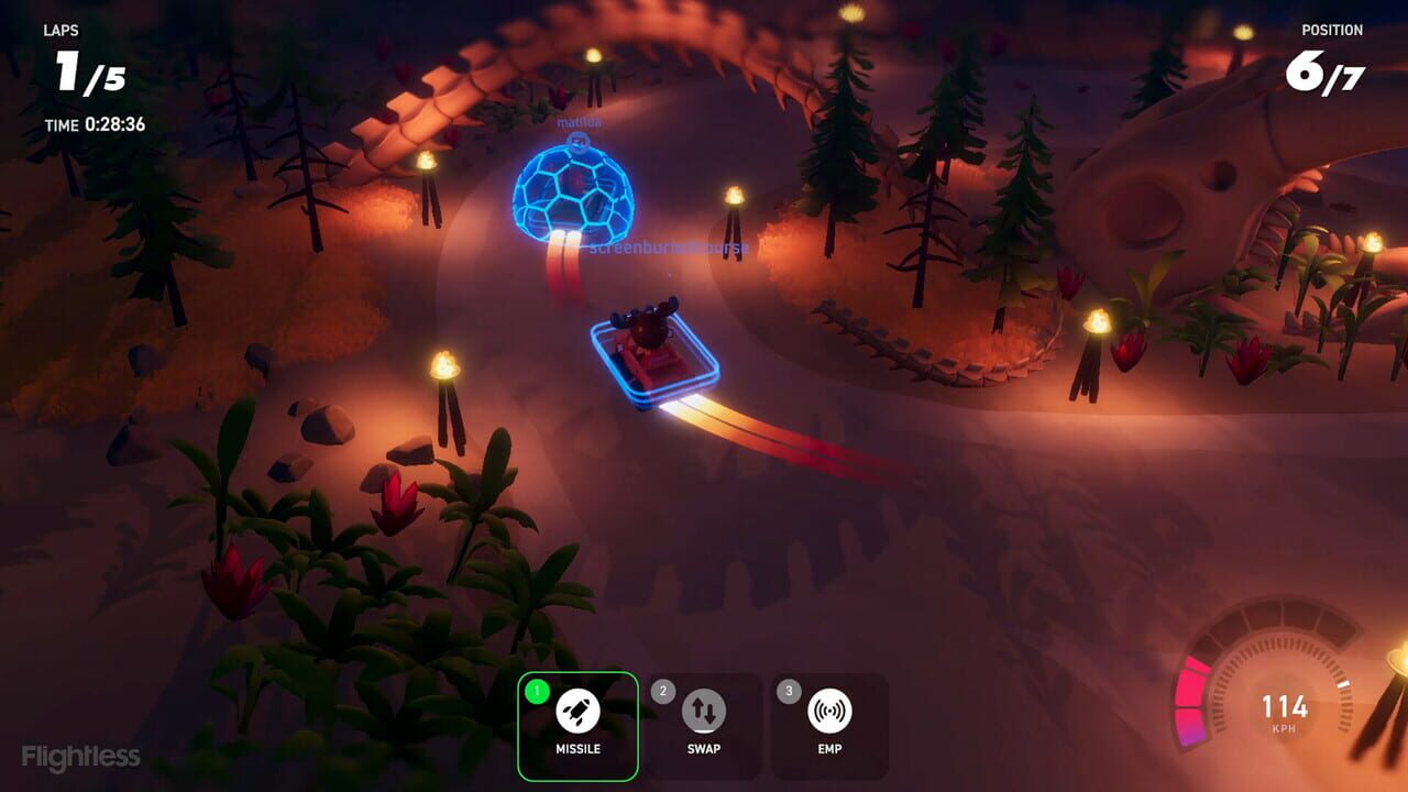 Screenshot 10