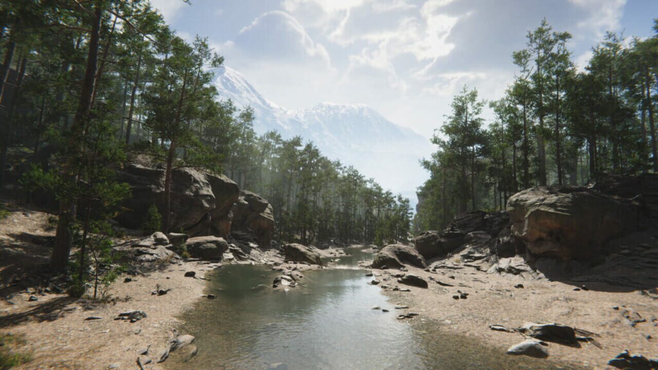 Mushroom Collector Simulator — Screenshot 2