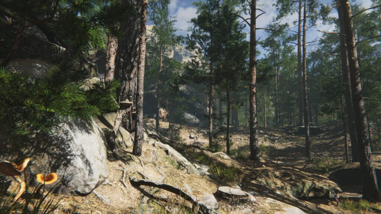 Mushroom Collector Simulator — Screenshot 3