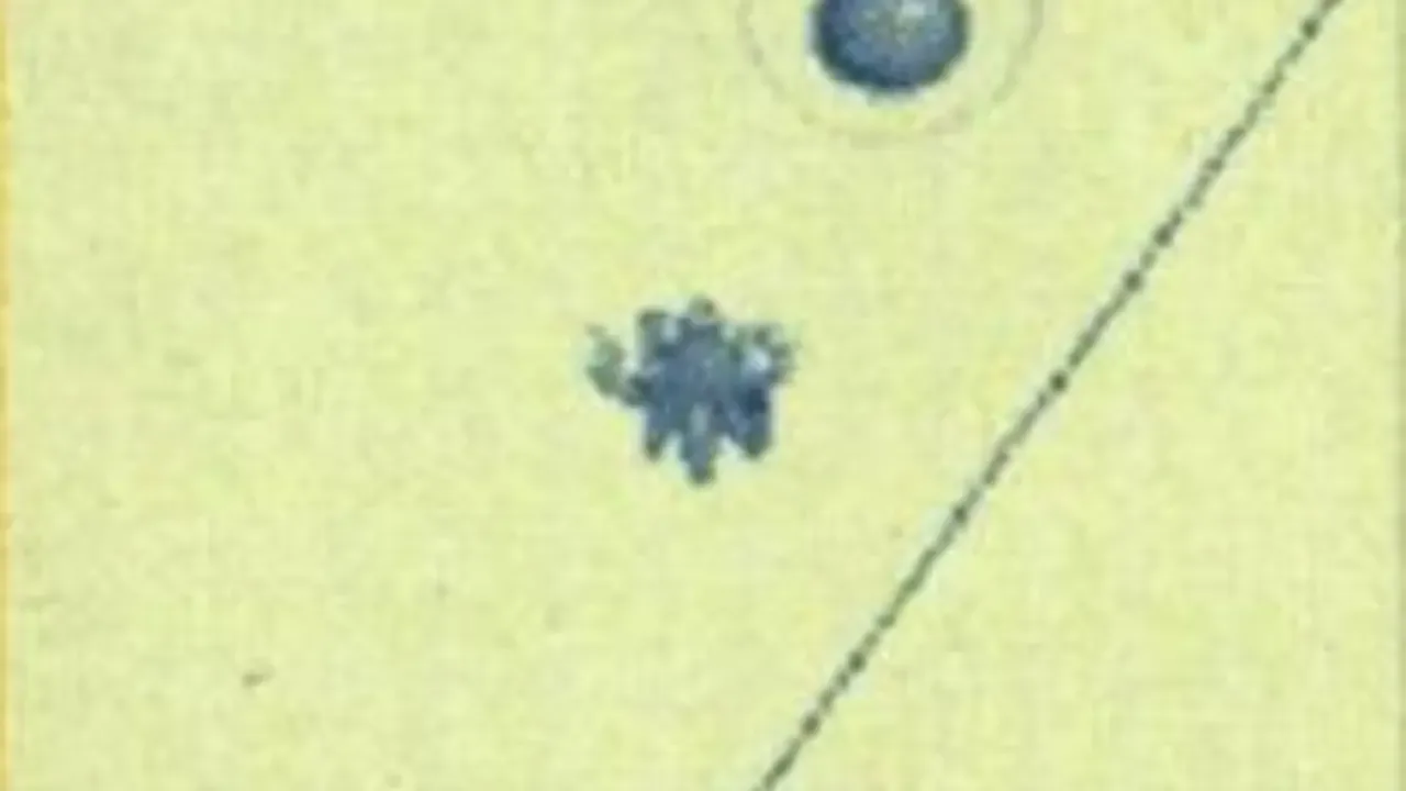 Sonic's Bomb Squad banner