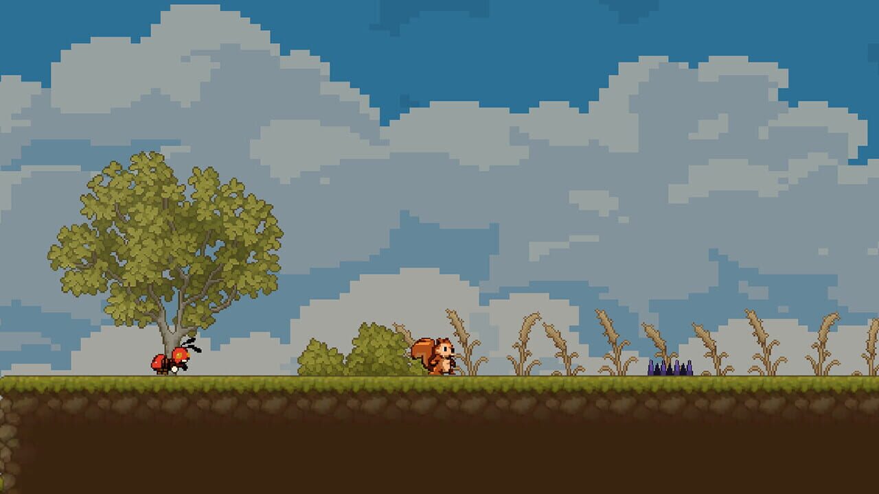Squirrel and Nuts — Screenshot 4