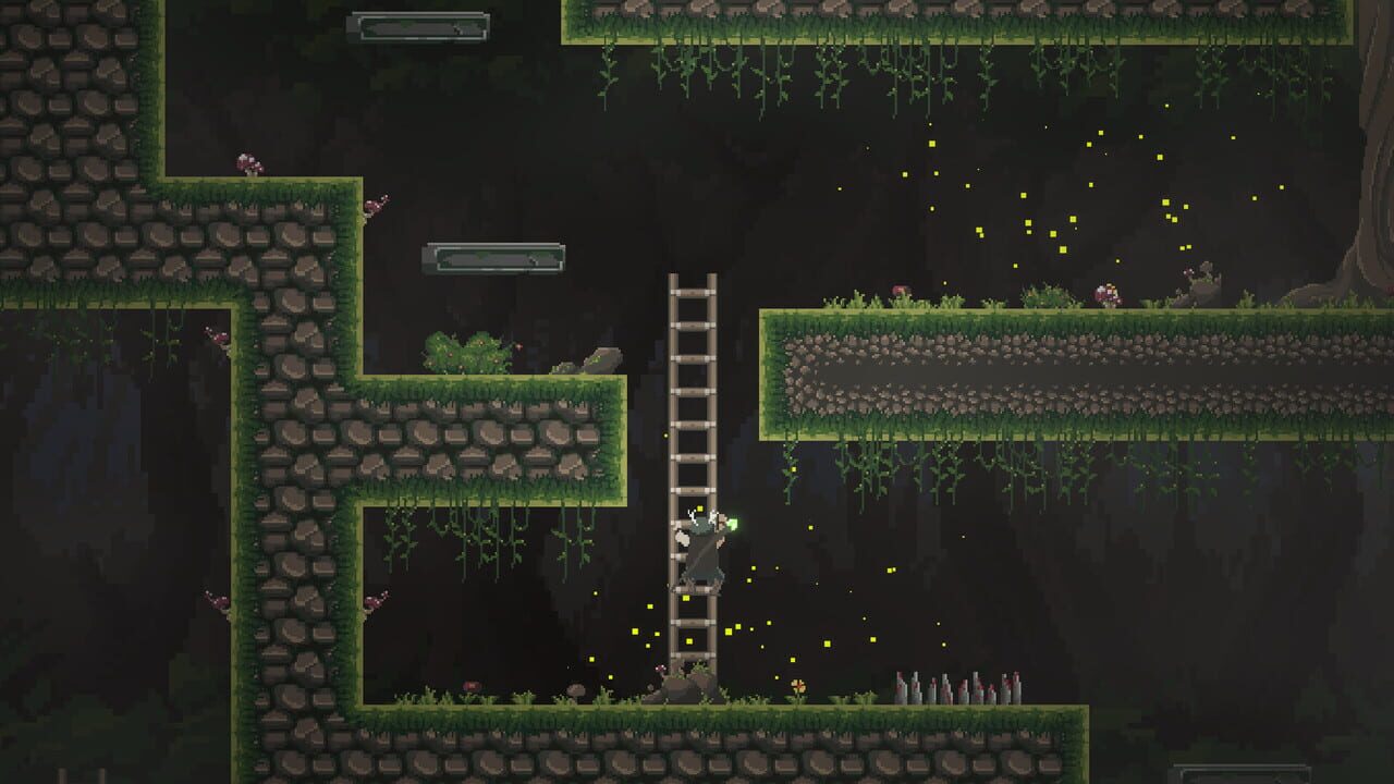 The Druid — Screenshot 3