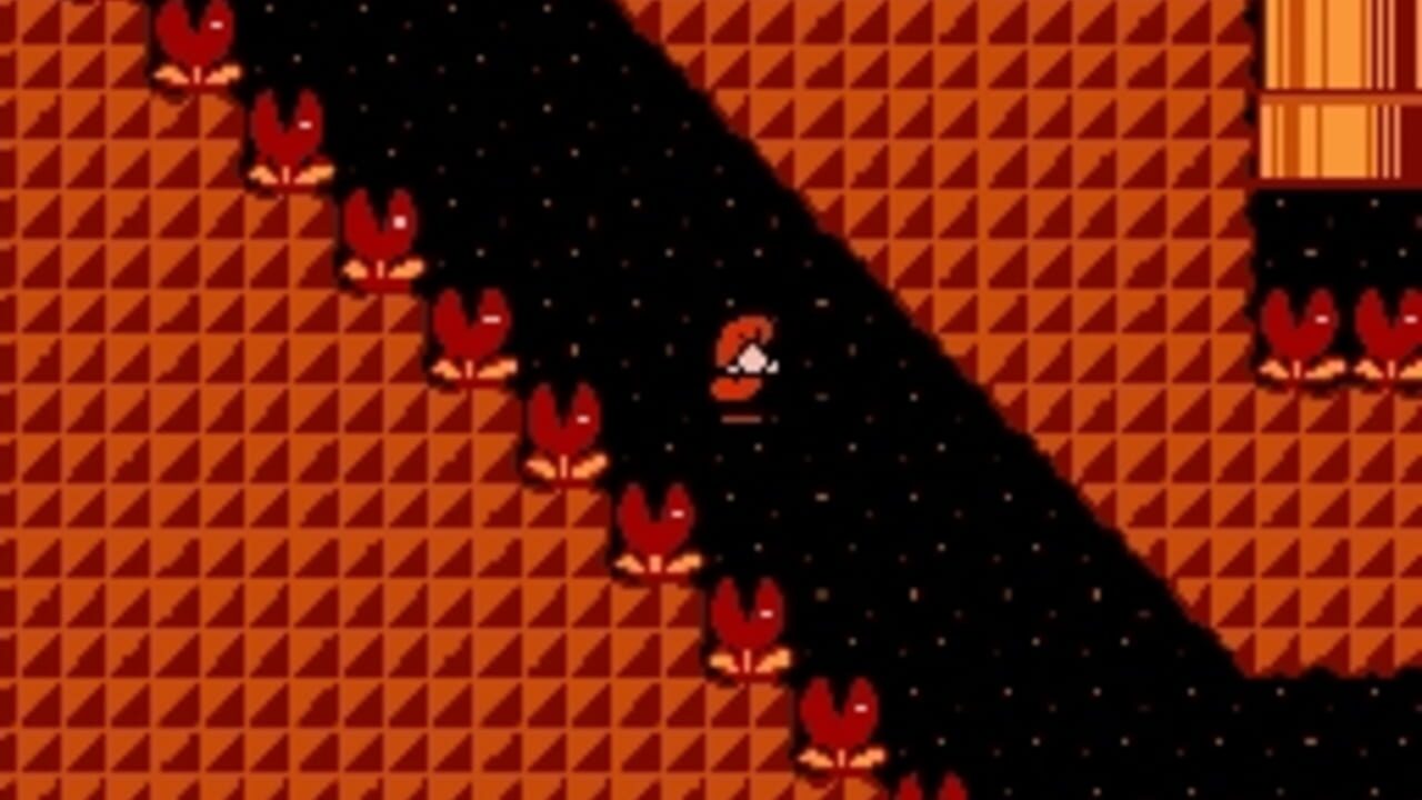 Kaizo Mario Bros. 3 — Screenshot 3