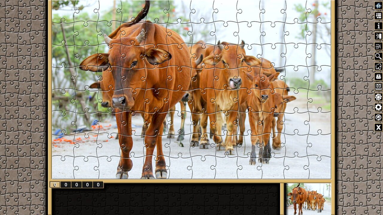 Pixel Puzzles Traditional Jigsaws: Pack - Variety Pack 6 Image