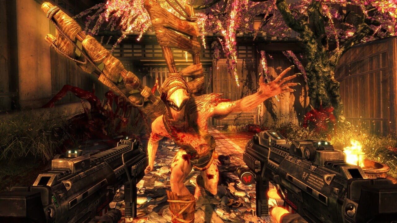 The Shadow Warrior Trilogy Image