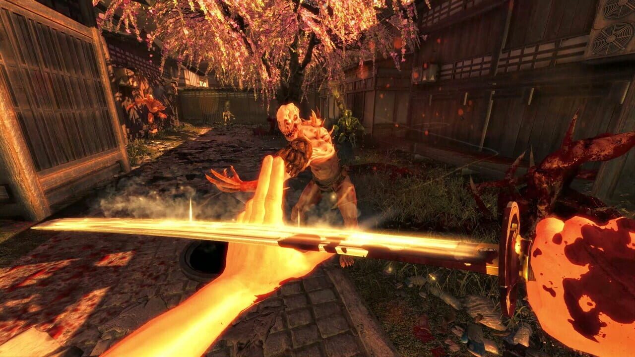 The Shadow Warrior Trilogy Image
