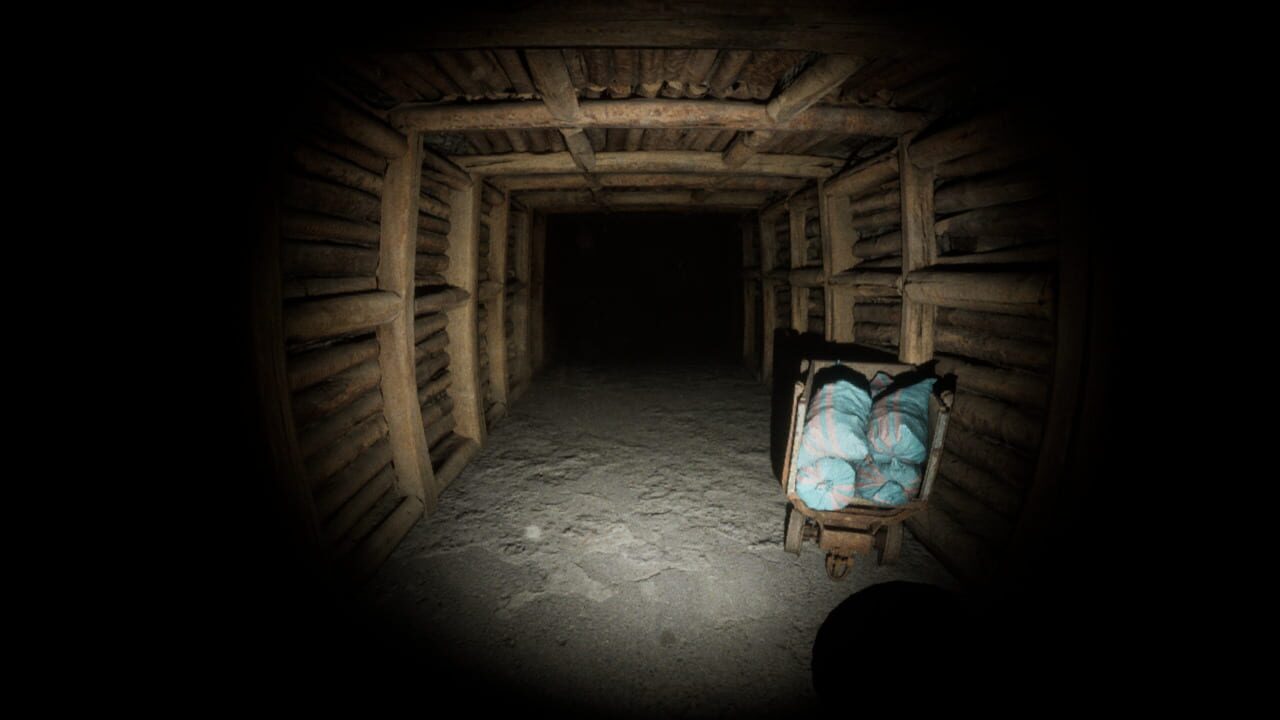 Fortune Follow: The Mansion — Screenshot 5