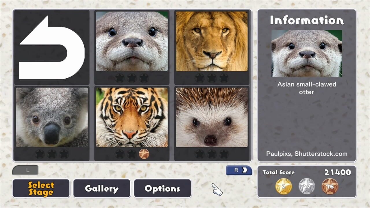 Jigsaw Masterpieces: Close Up Animals Image