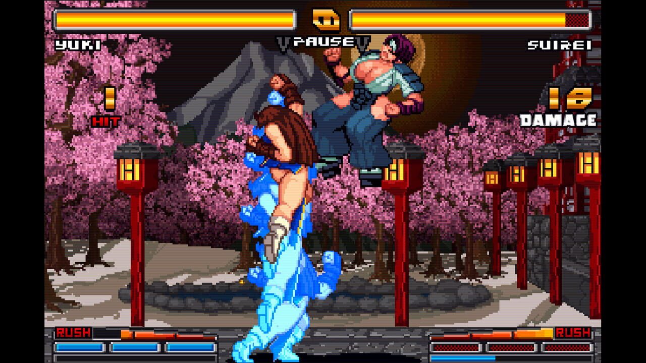 Strip Fighter Zero Image