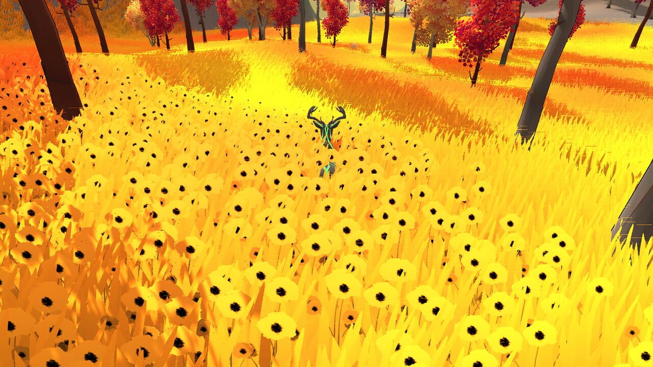 Bold Image