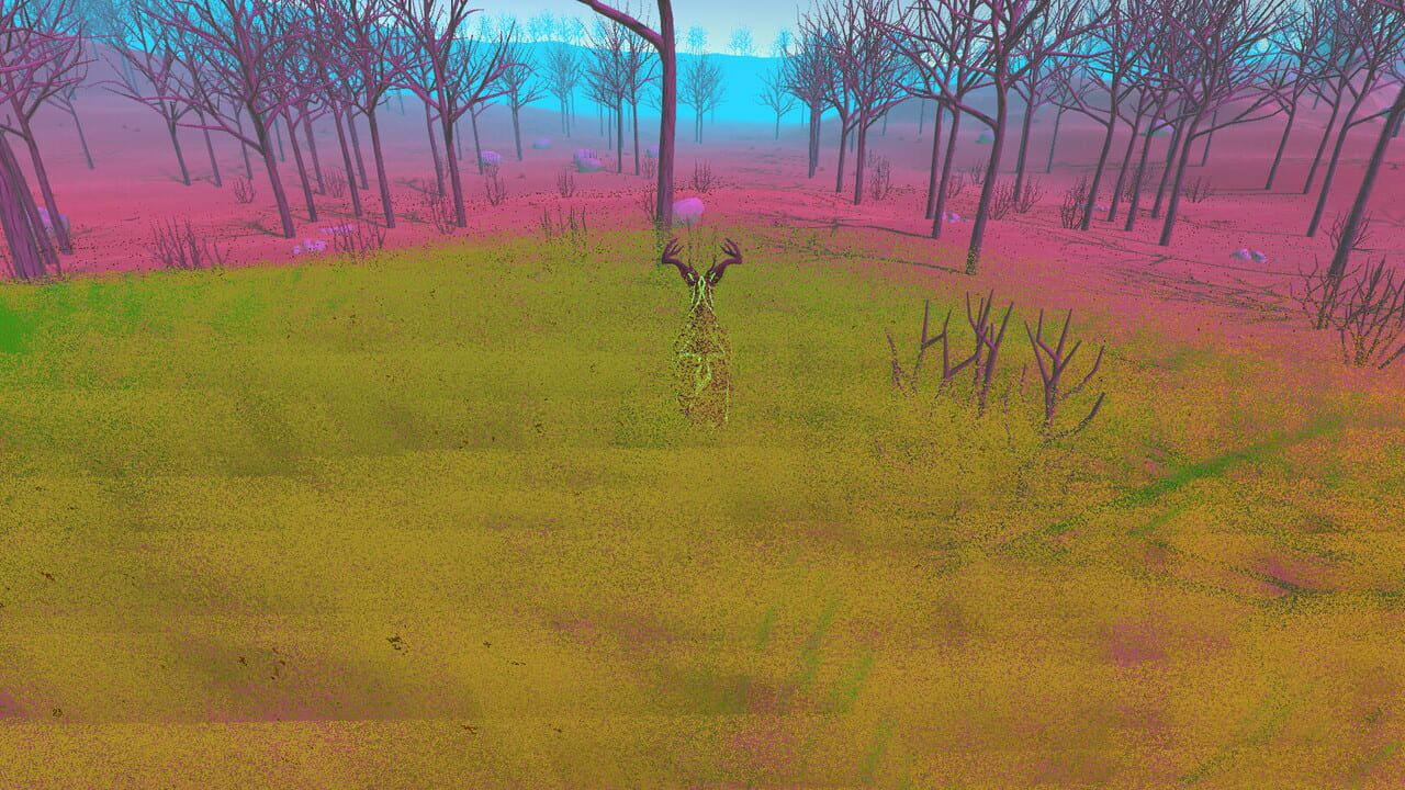 Bold Image