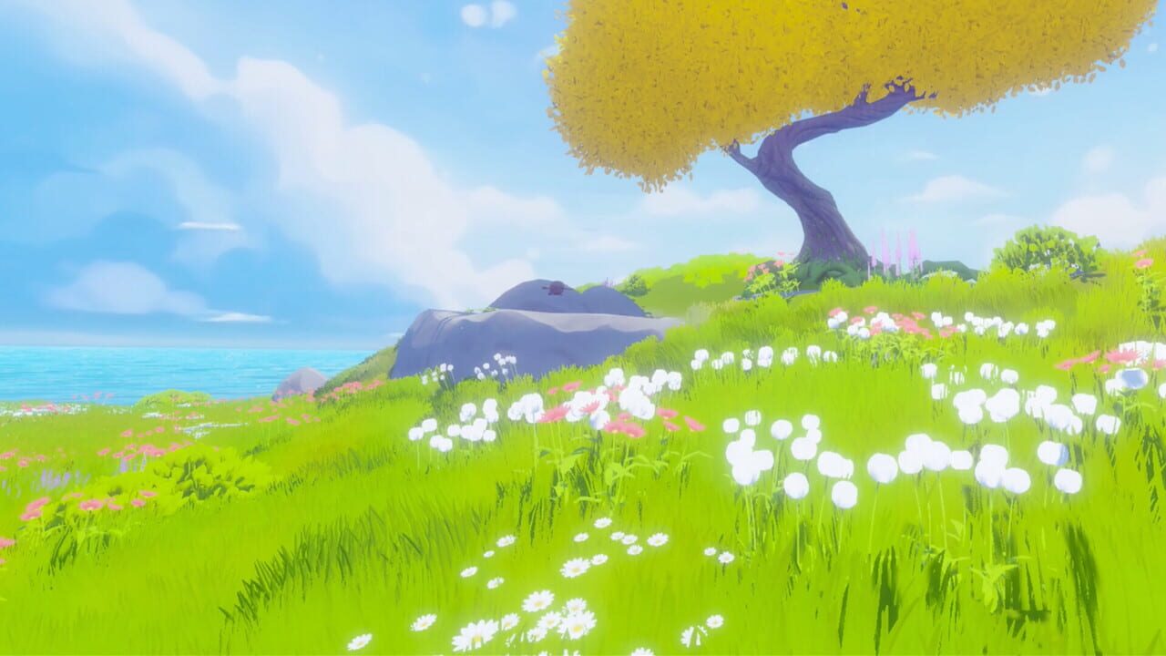 New Day Image