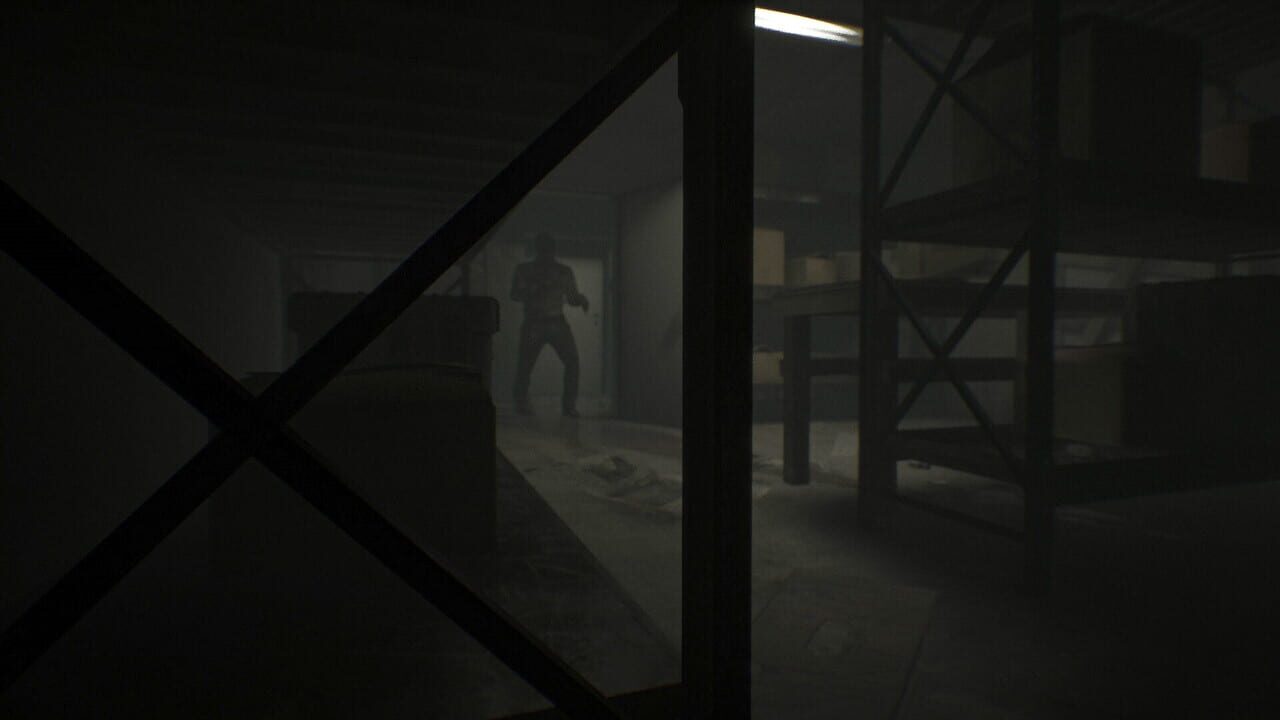 Outlive Image