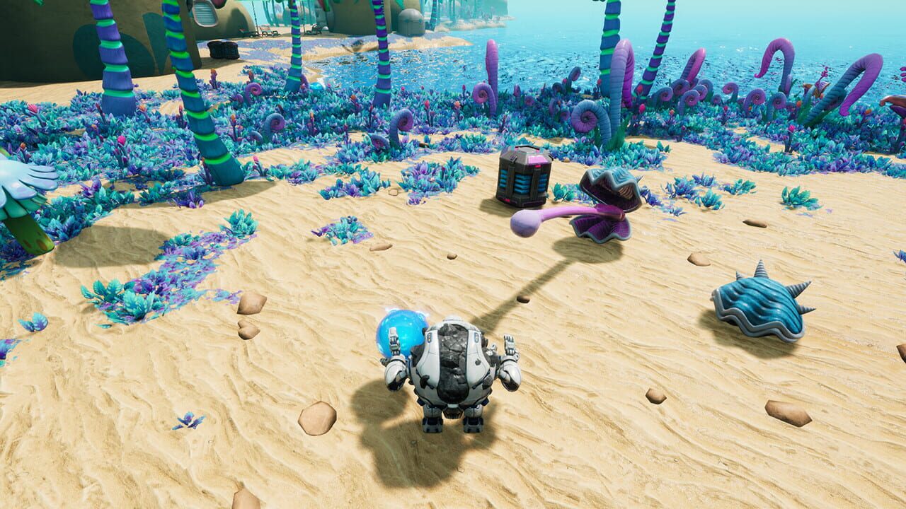 Virballs Image