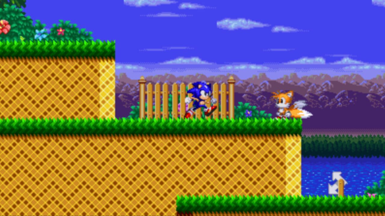 Sonic: Project Survival Screenshot 1