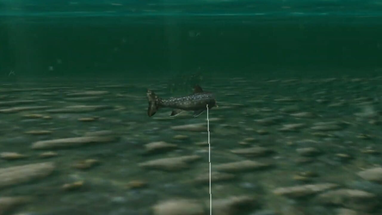 Reel Fishing: Wild Image