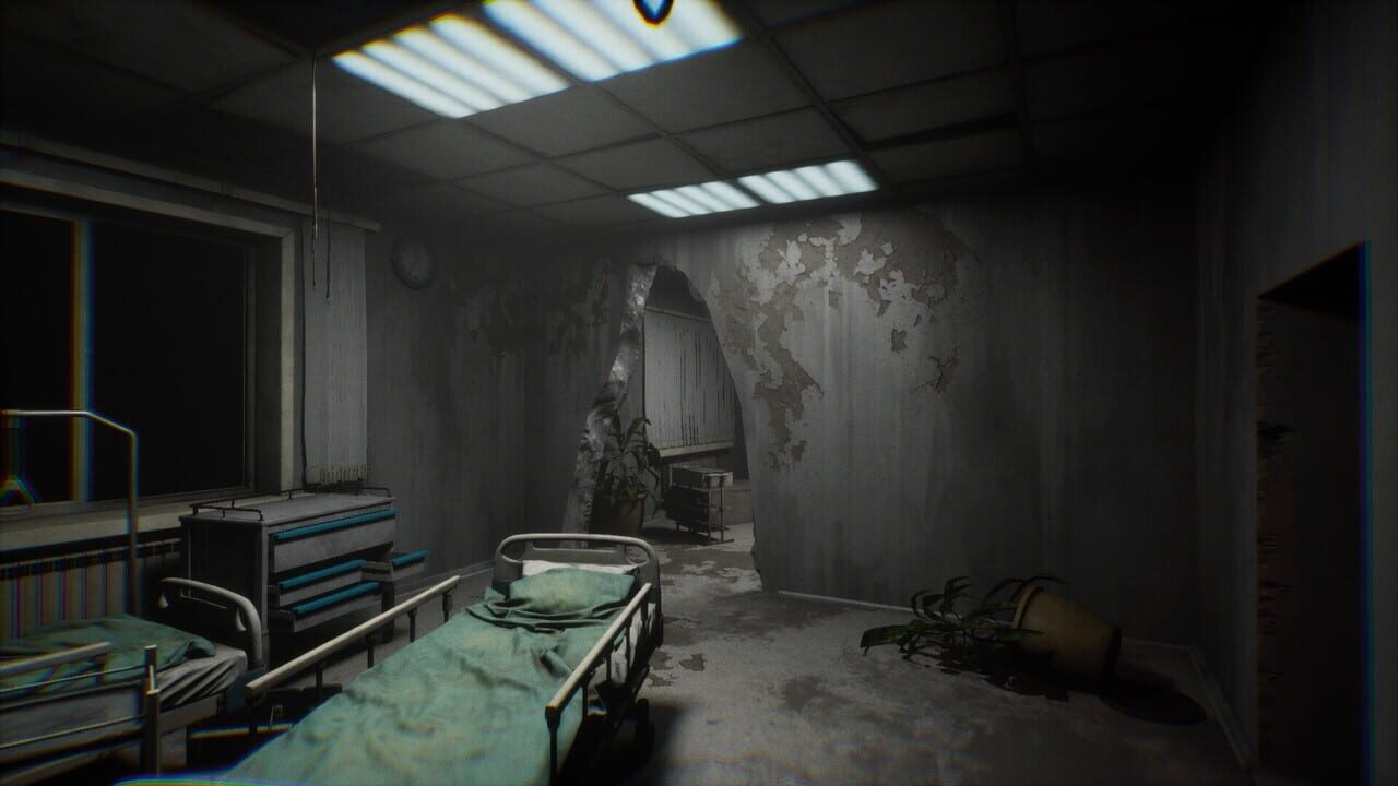 Reflection: The Greed Image