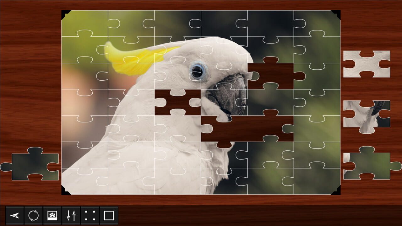 Jigsaw Puzzle World: Birds Image