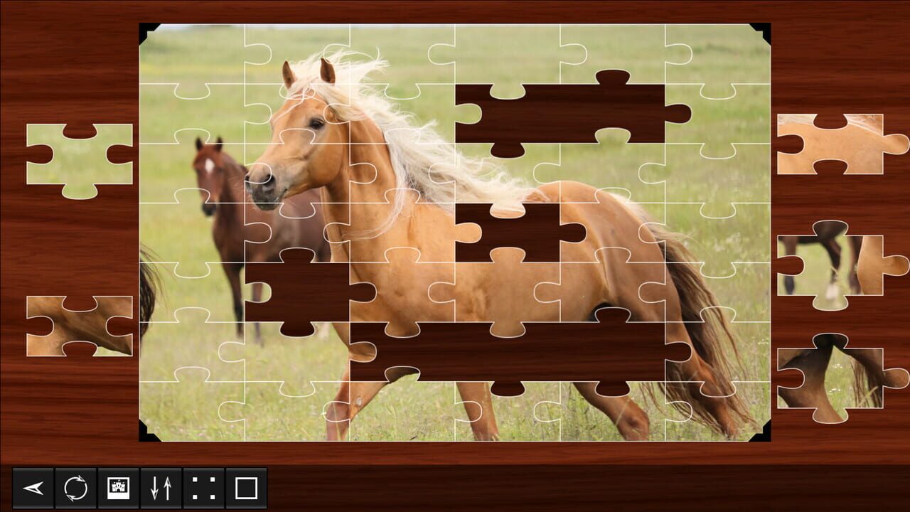 Jigsaw Puzzle World: Horses Image