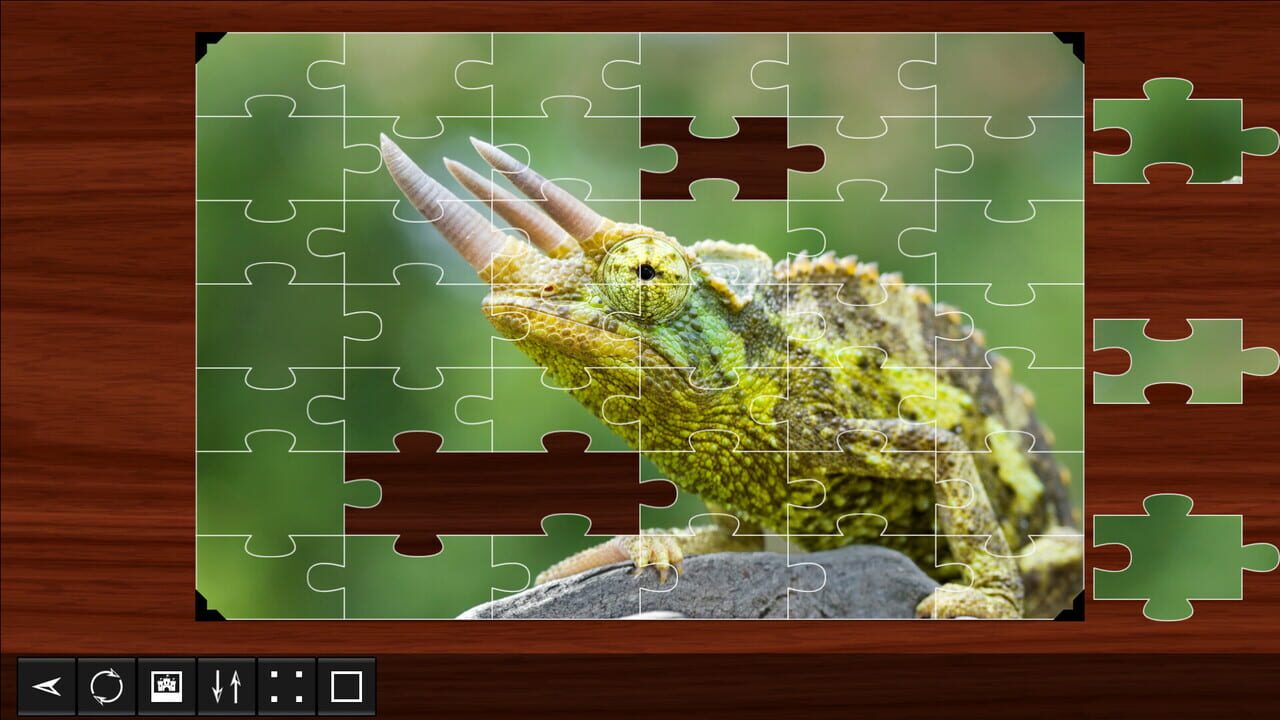 Jigsaw Puzzle World: Reptiles 2 Image