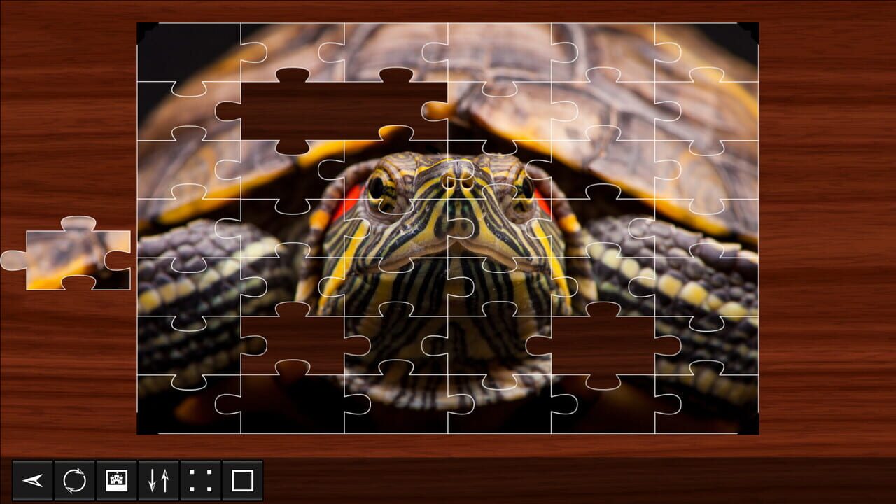 Jigsaw Puzzle World: Reptiles 2 Image