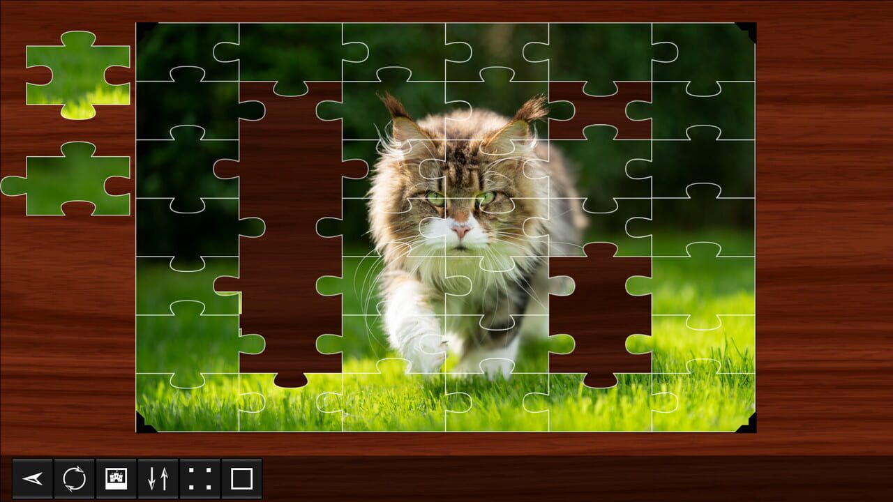 Jigsaw Puzzle World: Cats Image