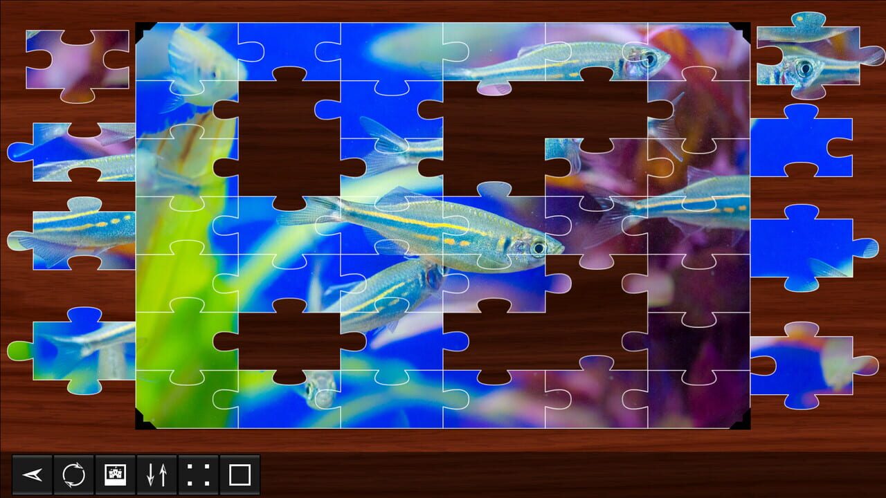 Jigsaw Puzzle World: Fish Image