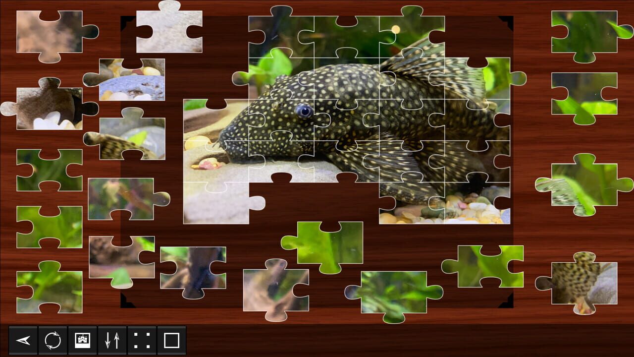 Jigsaw Puzzle World: Fish Image