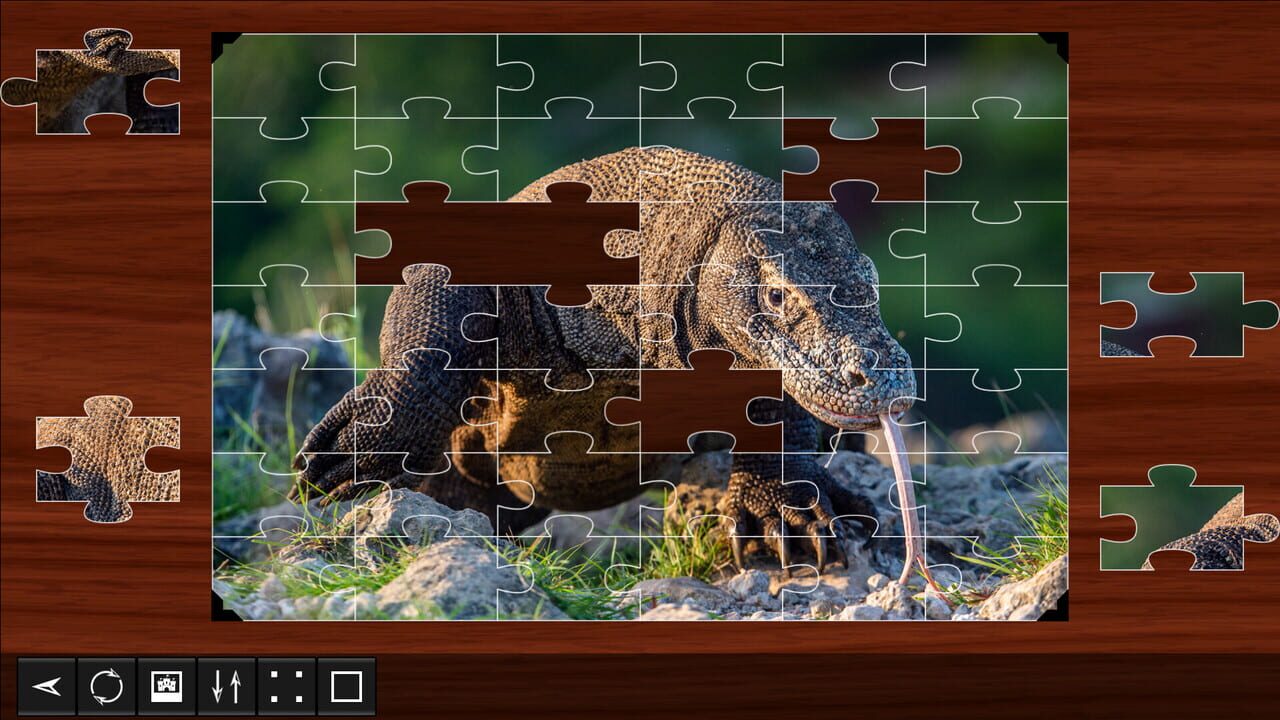 Jigsaw Puzzle World: Reptiles Image