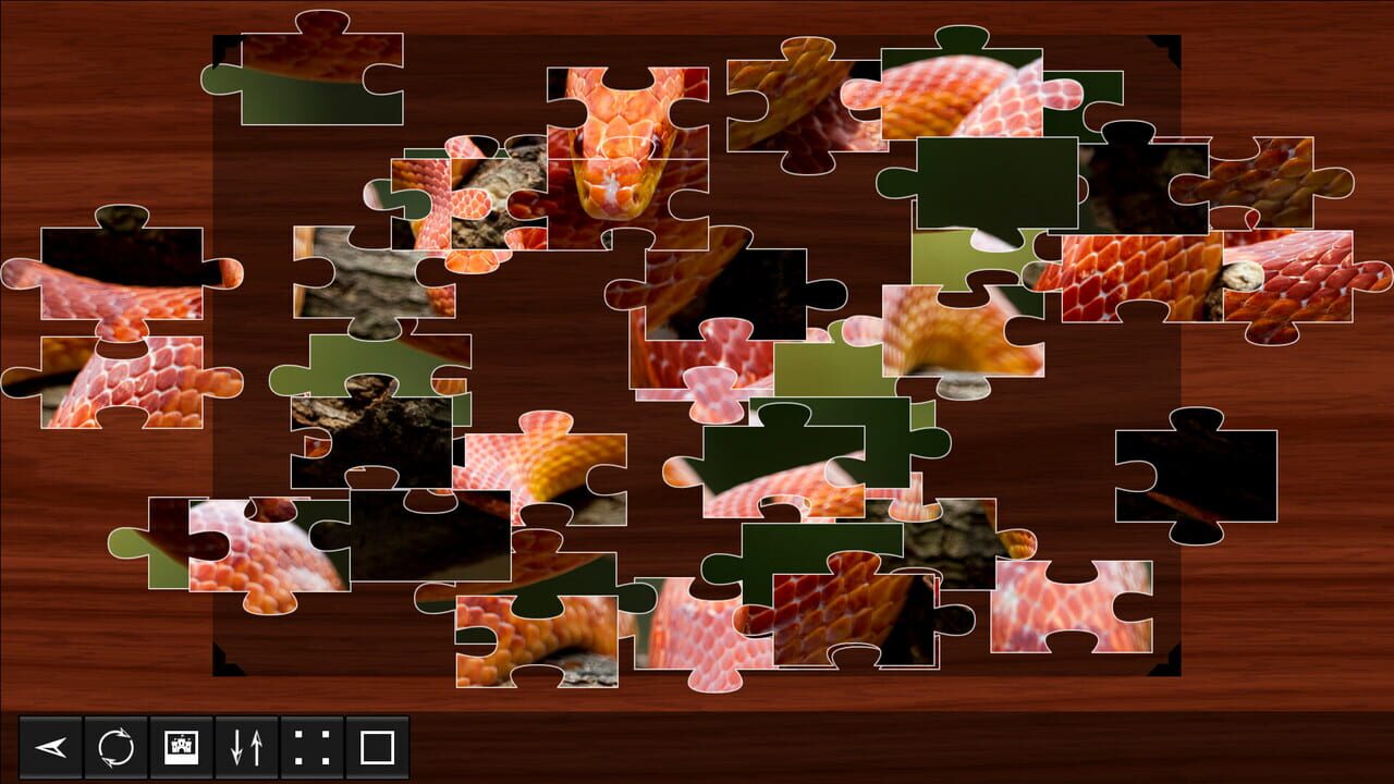 Jigsaw Puzzle World: Reptiles Image