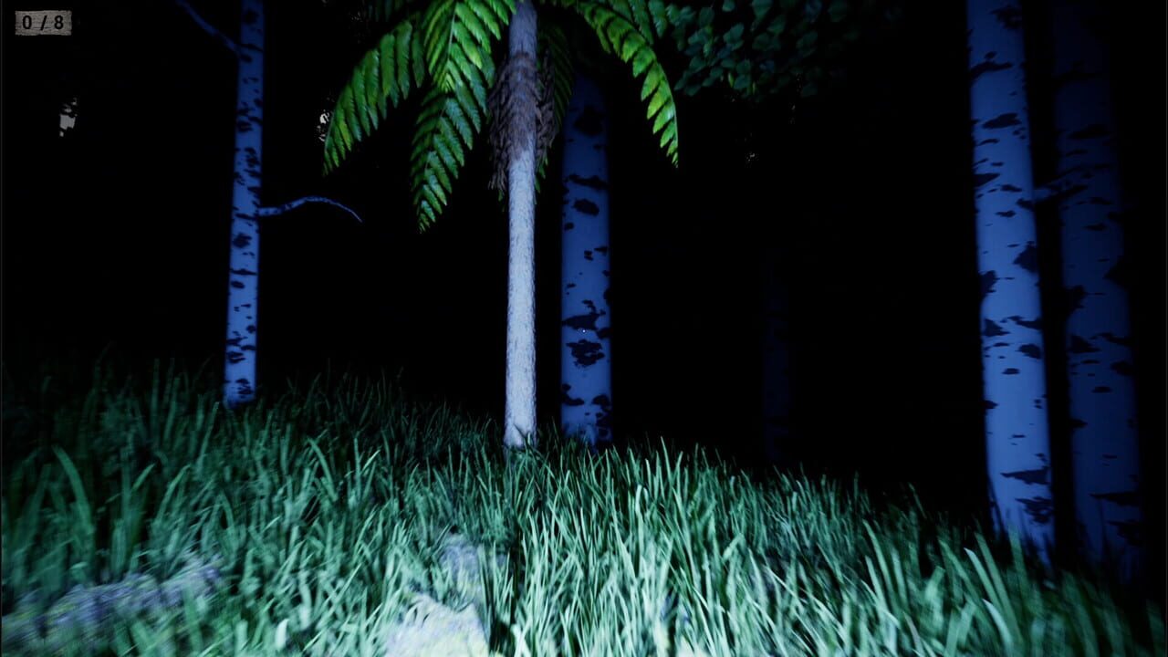 Screenshot 13
