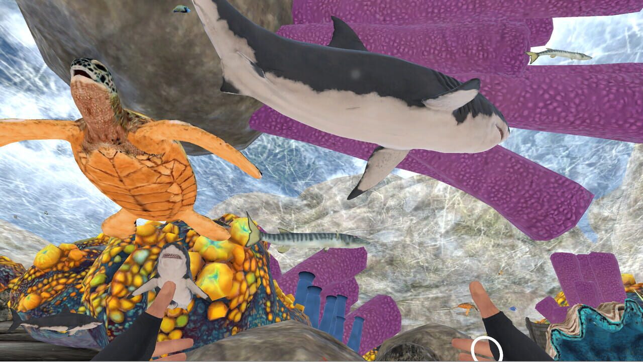 Zosu Ocean VR Image