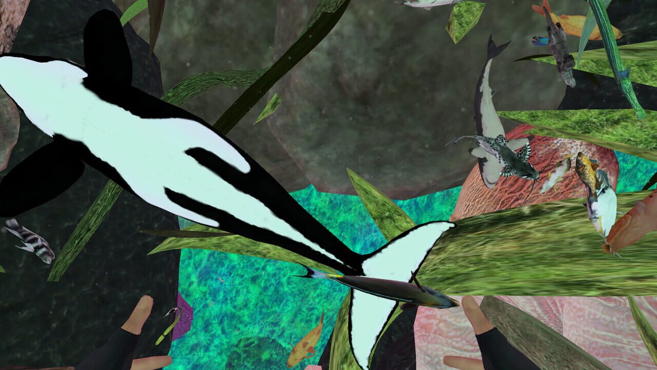 Zosu Ocean VR Image