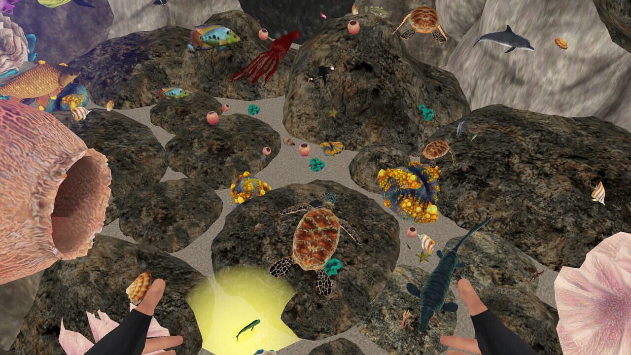 Zosu Ocean VR Image