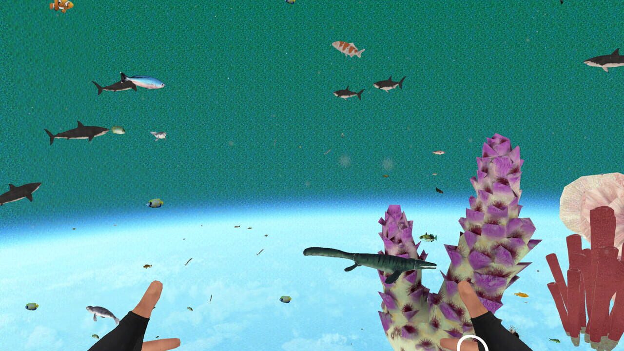 Zosu Ocean VR Image