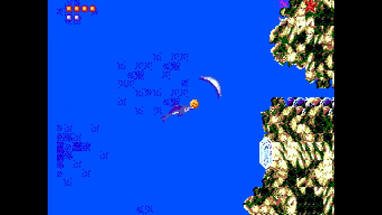 Ecco the Dolphin Image