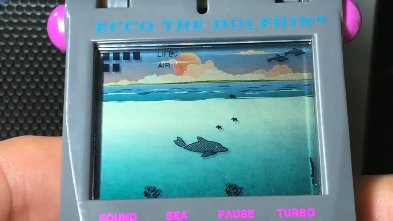 Ecco the Dolphin Image