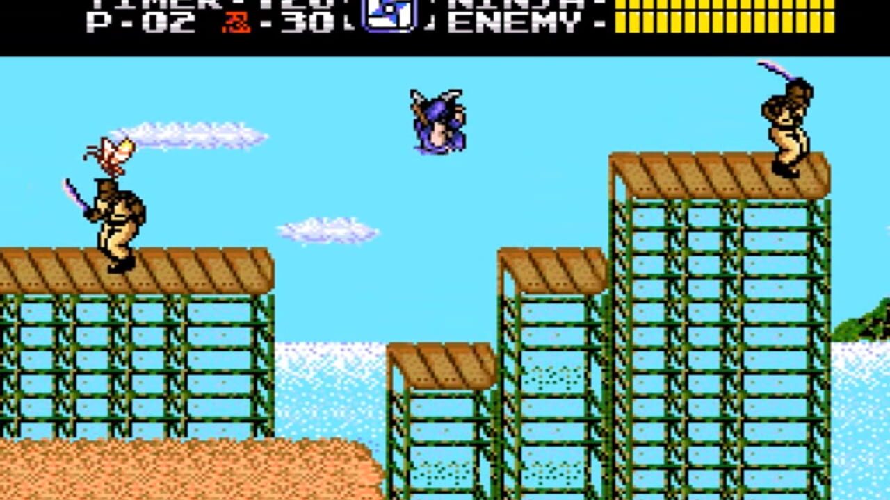 Ninja Gaiden Image